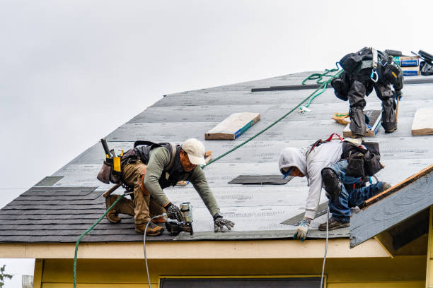 Professional Storm Damage Roof Repair technician working in Quinton, AL